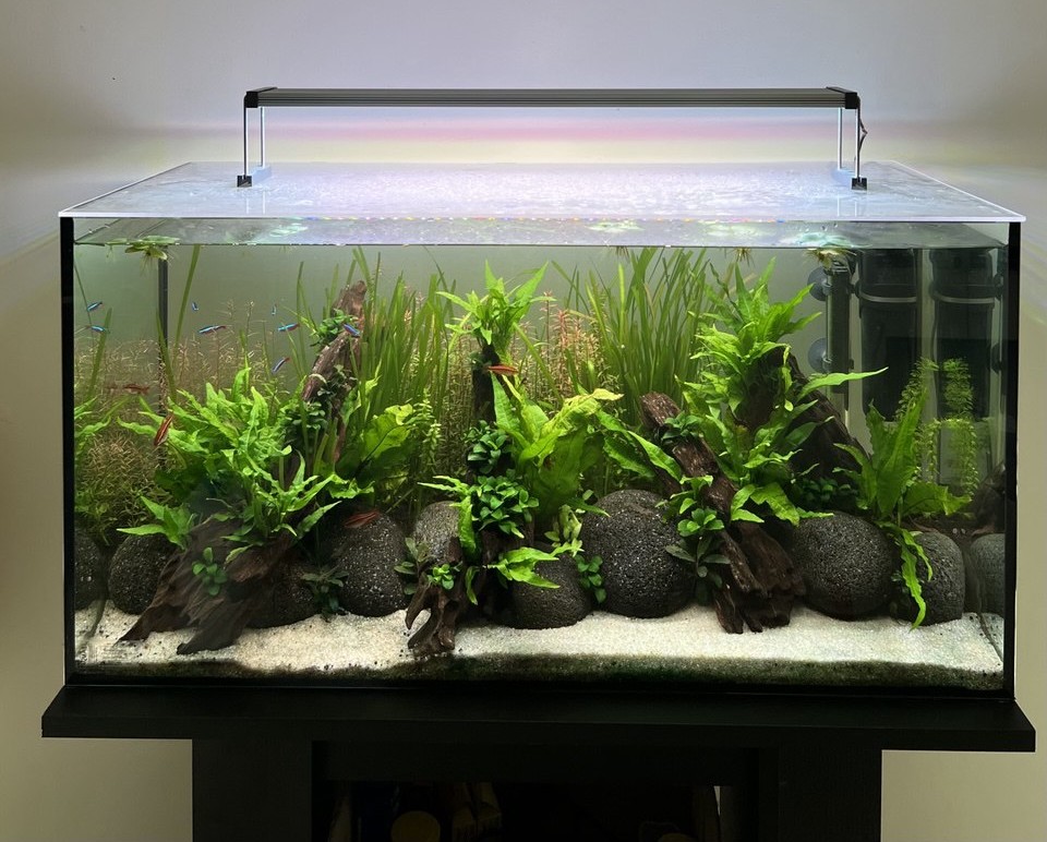 Nos dernières réalisations - Aqua Stéphanie2